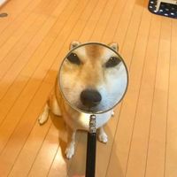 高冷黑白情侣头像(9)