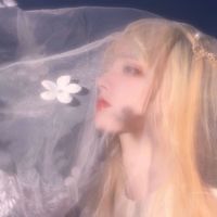 微信头像美女高清图片大全唯美图片大全(5)