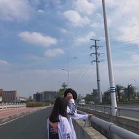 微信头像马图片大全集(13)