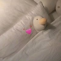 抖音 汤姆猫和白猫情侣头像(8)