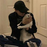 微信头像蒙族