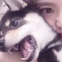蝙蝠蝴蝶情侣头像(12)