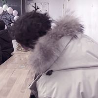 qq头像男生半截