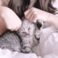 狗狗荡秋千的情侣头像(16)