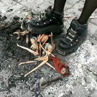 有关火微信头像(16)