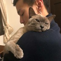 男生微信头像骚(11)