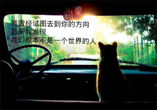 网名俩字霸气男