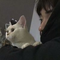 男生 可爱的女生小清新头像图片素材(4)