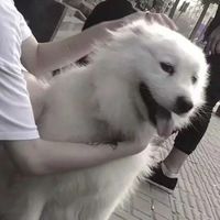 黑色背影画情侣头像(17)