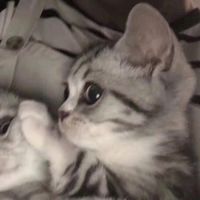 嘻哈rap情侣头像(3)
