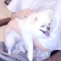 情侣头像mua(18)