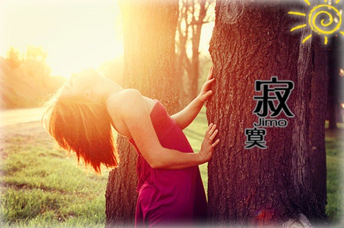 心情美网名大全唯美