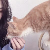 情侣头像图片潮(17)