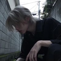 微信头像杨树(14)