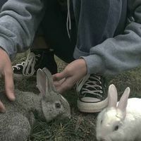 微信界面头像错乱(3)