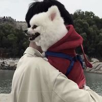 小中分发型男生头像(13)