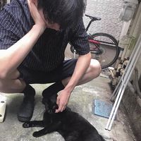 中学生男生头像背影(16)