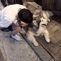 很疯的男生头像图片(5)