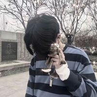 克里斯埃文斯男生头像图片(12)