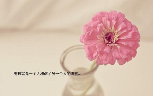 原来是梨的网名