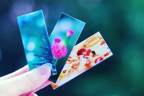 忘记过去重新再来的网名