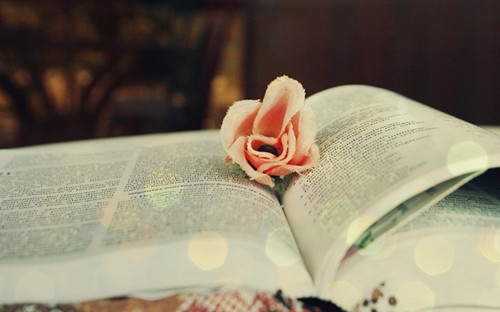 女生纹男生名字在哪