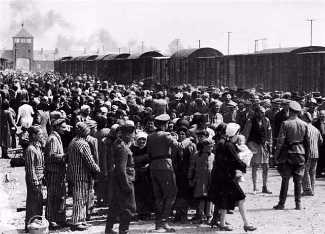 纳粹火车运输1千多万犹太人（每节密封车厢塞两百犹太人）(7)