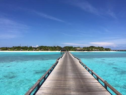 马尔代夫度蜜月有什么好玩的岛（马尔代夫蜜月游-步入浪漫的岛上）