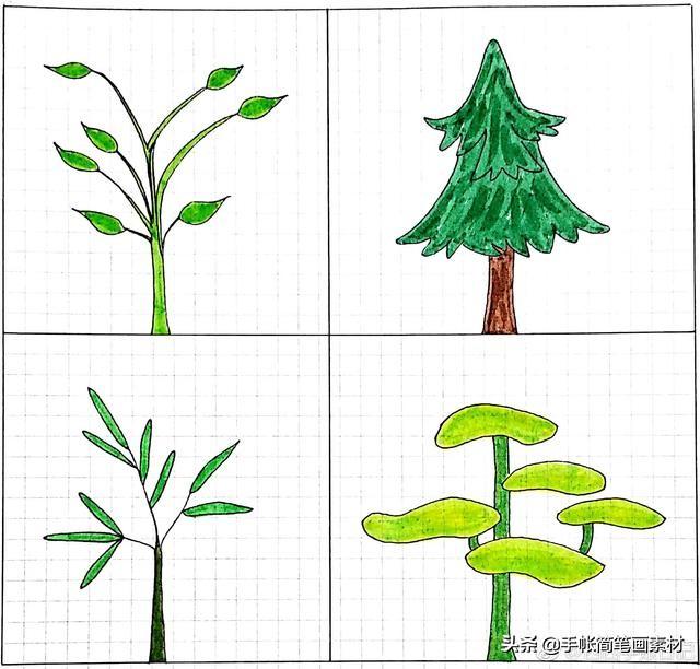 小树的简笔画简单又漂亮（小树简笔画简单易学）(3)