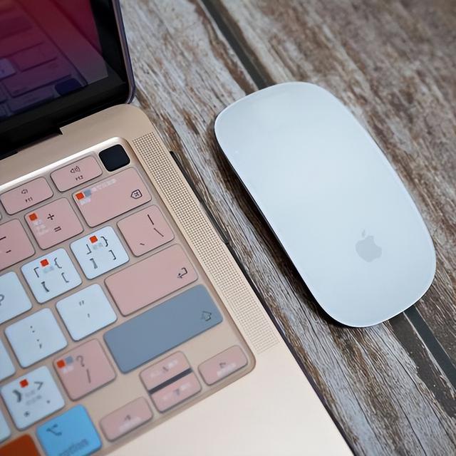 目前罗技最好的鼠标键盘耳机（从推动鼠标发展到带显示屏的键盘）(4)